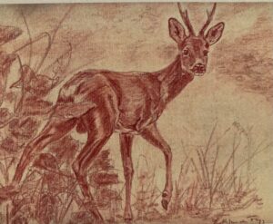 Tourinnes-5-Dessin-Kathleen