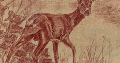 A Beauvechain, jusqu’au 30 Novembre : les 59e “Fêtes de la Saint-Martin de Tourinnes-la-Grosse”,