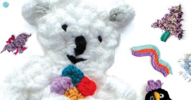 Accès et mobilité aux Plaisirs d’Hiver