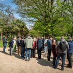 arbres-distribues-a-liege