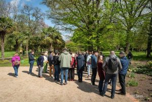 arbres-distribues-a-liege