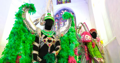 Des tenues éblouissantes en provenance du carnaval de Rio sont exposées au Musée de la Vie wallonne