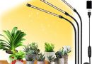 10 Astuces Pour Améliorer la Lumière de Vos Plantes d’Intérieur