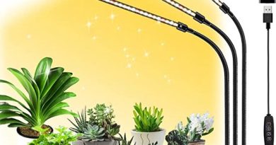 10 Astuces Pour Améliorer la Lumière de Vos Plantes d’Intérieur
