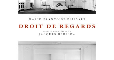 Lecture : Droit de regards, un roman photo de Marie-Françoise Plissart