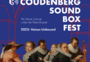 Musique : Avec le Coudenberg Box Fest, un festival où le patrimoine rencontre la création en sous-sol !