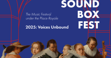 Musique : Avec le Coudenberg Box Fest, un festival où le patrimoine rencontre la création en sous-sol !