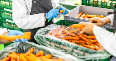 Un pôle agroalimentaire en circuit court à Bressoux pourra transformer 1.400 tonnes de légumes par an