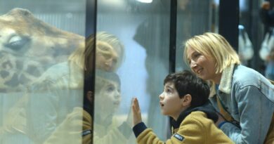 Au “Delta”, à Namur, du 06 au 09 Novembre : 8e “TEFF” (“The Extaordinary Film Festival”)