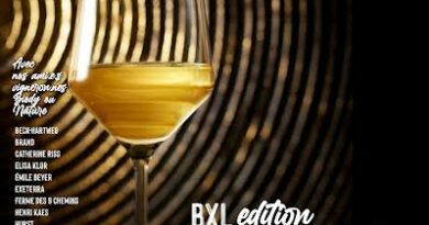 Ne ratez pas Made-in-Elsass, le salon des vins vivants à Watermael-Boitsfort