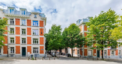 1 grande haie bruxelles