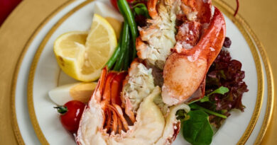 1-la-cuisine-de-villa-traiteur