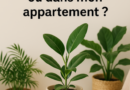Comment tenir des plantes d’intérieur ou dans mon appartement ?