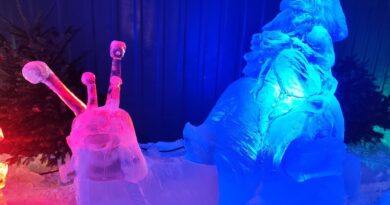 Jusqu’au 31 Décembre 2025, « Marché de Noël », à Namur, et « Patinoire de Noël », jusqu’au 04 janvier 2026