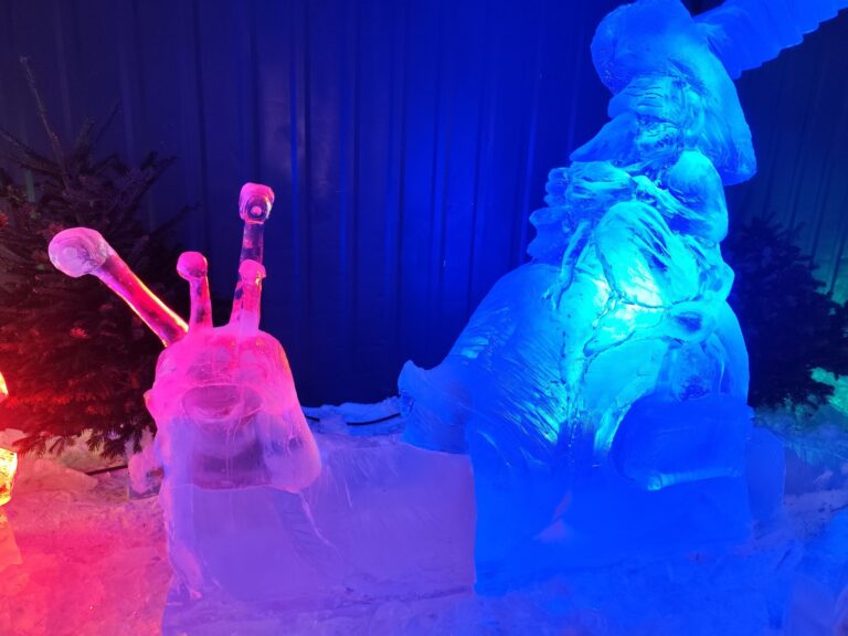 Noel-Namur-8-Escargot-Glace