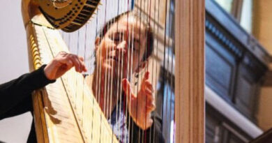 Concert academie de musique danderlecht