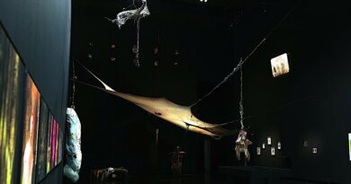 Exposition gratuite a charleroi le 4 janvier