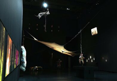 Exposition gratuite a charleroi le 4 janvier