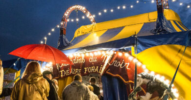 theatre-feerique-a-lesplanade-saint-leonard-a-liege
