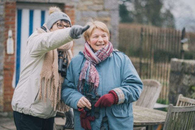 A l’affut pour réaliser le Grand recensement des oiseaux de jardin