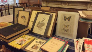 1 bourse aux livres natures de seconde main