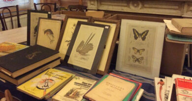 1 bourse aux livres natures de seconde main