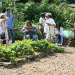 Alimentation : Un jardin biologique et didactique à Jambes 1 jardin bio jambes
