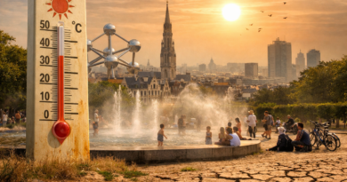 Chaleur extrême à Bruxelles sous le soleil