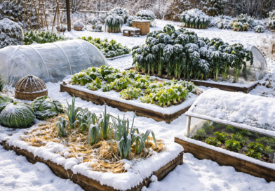 Jardin dhiver sous la neige