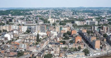 Le logement non occupe est trop important dzns laz ville de liege