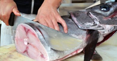 Les 10 Meilleurs Poissonniers de Bruxelles