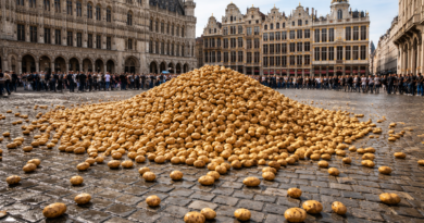 Tas de pommes de terre a Bruxelles