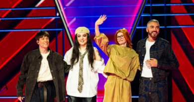 The voicie belgique blinds