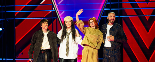 The voicie belgique blinds