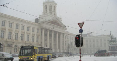 Bruxelles sous la neige
