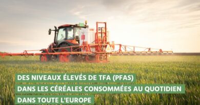 Des niveaux eleves de tfa