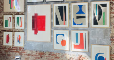 Exposition collages a la maison de la francite