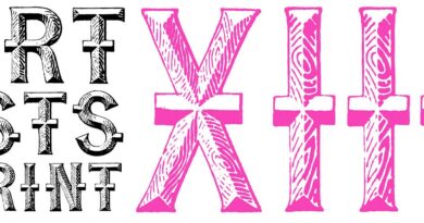 Livre dartiste et du multiple