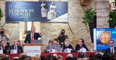 1 VINS vente des hospices de nuits st georges