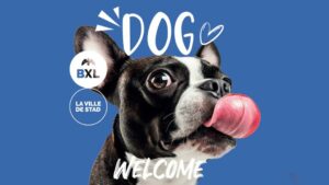 La Ville de Bruxelles promeut « chiens admis » dans les commerces de la Capitale