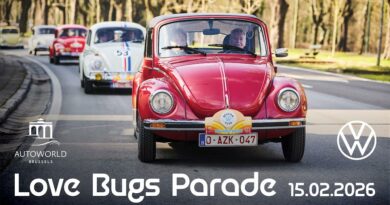 1 love bugs parade