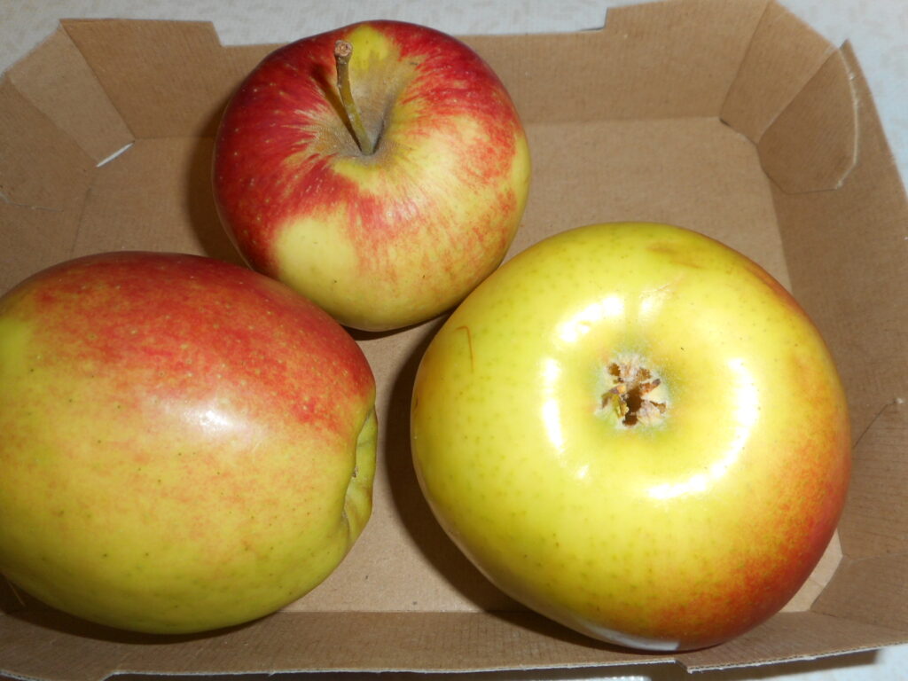 Faut-il encore manger des pommes dans l’Union européenne ?