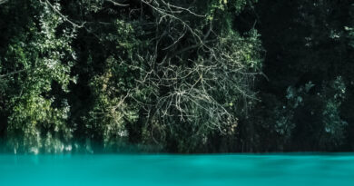 1 sortie livre de luc dellisse