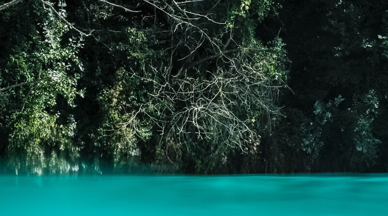 1 sortie livre de luc dellisse