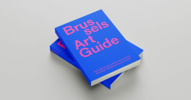 10 jeunes artistes bruxellois mis en valeur la fondation pour les arts