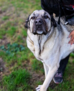 A Bozar jusquau 21 Juillet Chantal Akerman Travelling