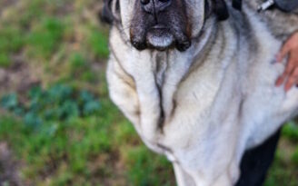 A Bozar jusquau 21 Juillet Chantal Akerman Travelling