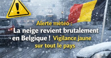 Alerte neige en Belgique