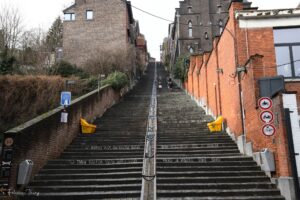 ILS ONT DES MOLLETS EN TITANE