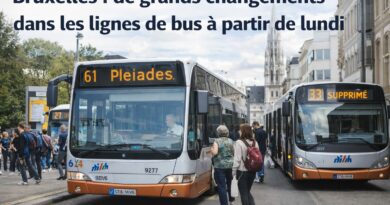 Bus a larret a Bruxelles